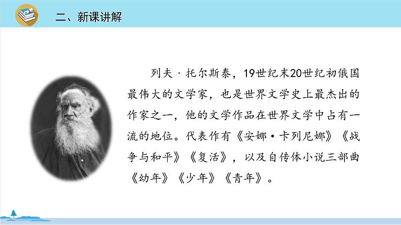 五年级语文部编版下册16《跳水》PPT课件03
