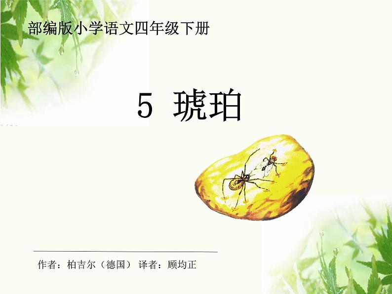 四年级下册语文5 琥珀 第一课时课件第2页