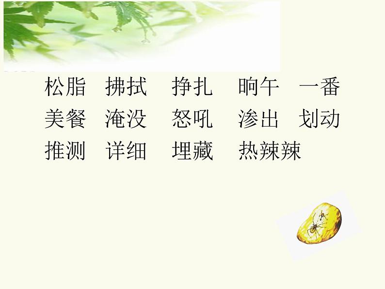 四年级下册语文5 琥珀 第一课时课件第5页