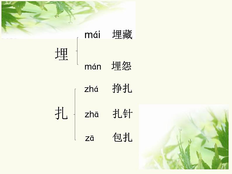 四年级下册语文5 琥珀 第一课时课件第7页