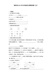 六年级下册语文试题  湖北省2021年小升初语文模拟试题（九）（含答案）部编版