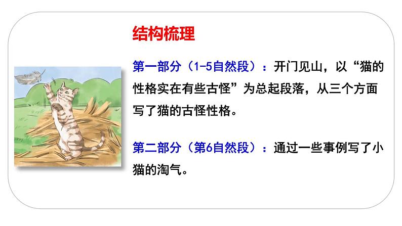 13 猫 课件(2课时 34张ppt)第8页