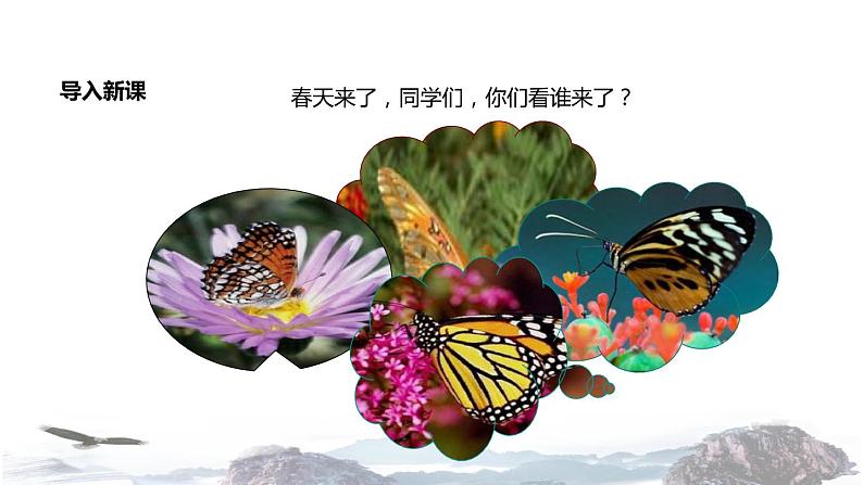 教学课件人教部编版二年级语文下册《小毛虫》(部编)第3页
