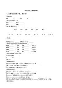 人教新课标版天津市名校小升初语文冲刺试题