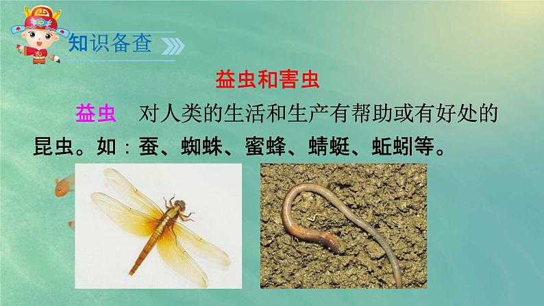 人教部编版一年级语文下册识字5《动物儿歌》精品教学课件PPT小学优秀公开课802
