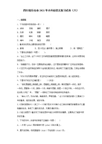 六年级语文下册试题 四川省乐山市2021年小升初语文复习试卷（八）（含答案）部编版