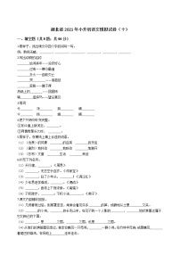 六年级下册语文试题-湖北省2021年小升初模拟试卷（十）含答案部编版