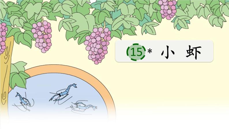 人教部编版语文三年级下册4.15 《小虾》课件+教案+素材03