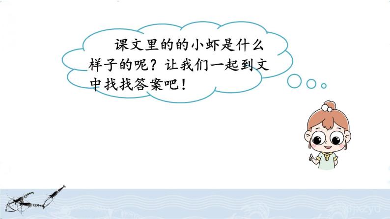 语文三年级下册15* 小虾获奖ppt课件