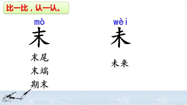 人教部编版语文三年级下册4.15 《小虾》课件+教案+素材08