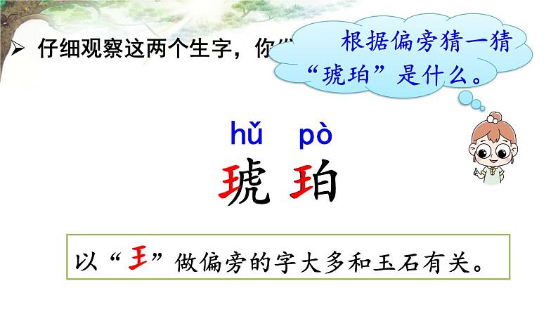 人教部编版语文四年级下册2.5 《琥珀》课件+教案=素材03