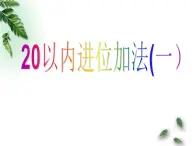 一年级数学上册课件 20以内进位加法（一）_课件1 浙教版