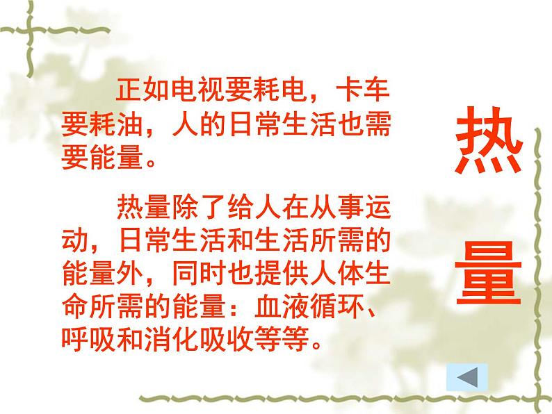 3综合应用:营养午餐课件第6页