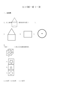 小学北师大版二 观察物体1 看一看（一）课堂检测