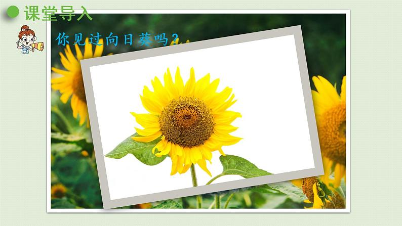 人教版一年级数学上册 3 1~5的认识和加减法 第4课时 4的分与合 课件04