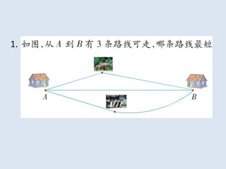 四年级数学上册-2.8.两点间的距离_课件|浙教版第2页