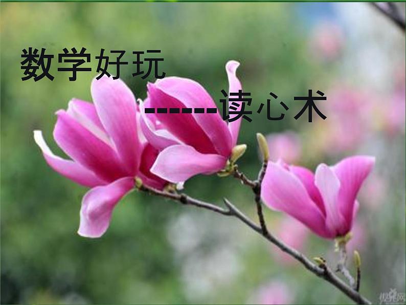 表内乘法和除法(二)探索规律课件PPT第1页