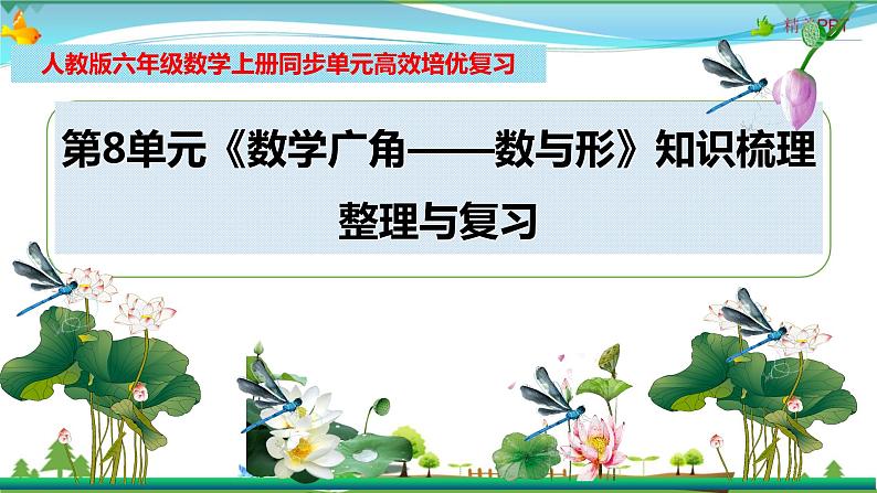 人教版 六年级数学上册 第8单元《数学广角——数与形》知识梳理(整理与复习课件)第1页