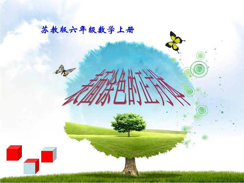 苏教版数学六年级上册 六上表面涂色的正方体 课件01