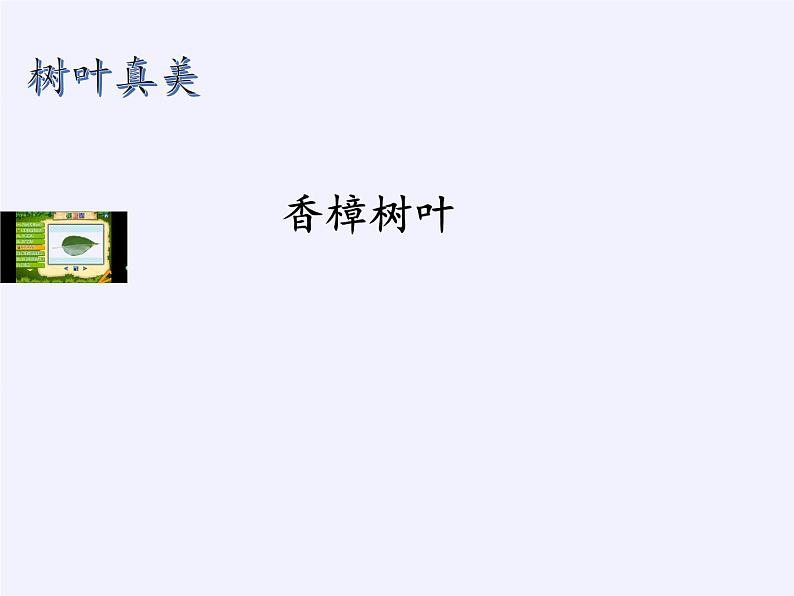 苏教版数学六年级上册 ● 树叶中的比(7) 课件第8页