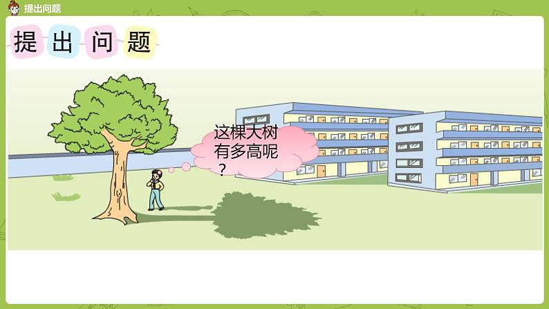 苏教版六下 大树有多高课件PPT04
