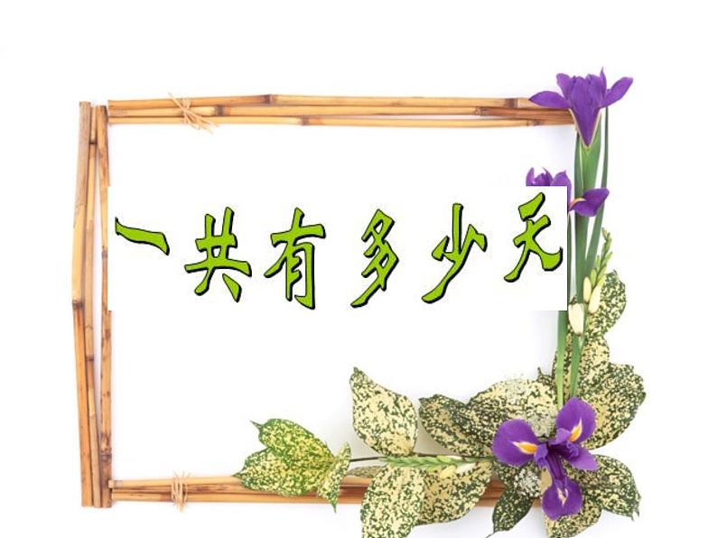 二年级上册数学课件-8.2 一共有多少天(2)-北师大版01