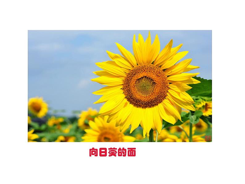 2.1 圆的认识(5)(课件)-2021-2022学年数学六年级上册-西师大版第8页