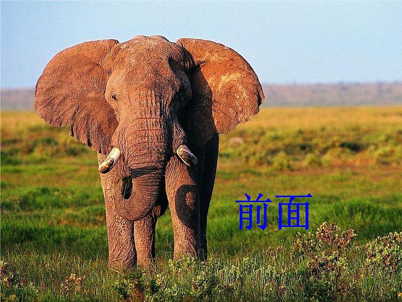 4 观察物体(课件)-2021-2022学年数学二年级上册-西师大版第4页