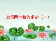 比较两个数的多少(一)PPT课件免费下载