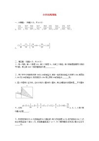 青岛版六年级数学下册小升初周周练（二十三）