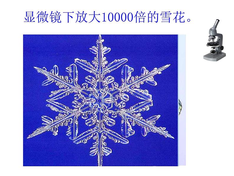 5.1 图形的放大或缩小(6)(课件)数学六年级上册-西师大版06