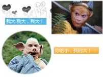 西师大版五年级上册平行四边形的面积教课ppt课件