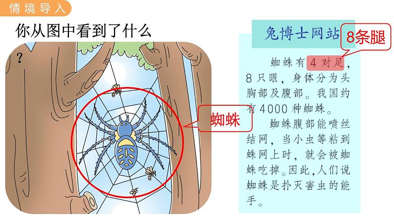 7.3 8的乘法口诀 PPT课件第2页