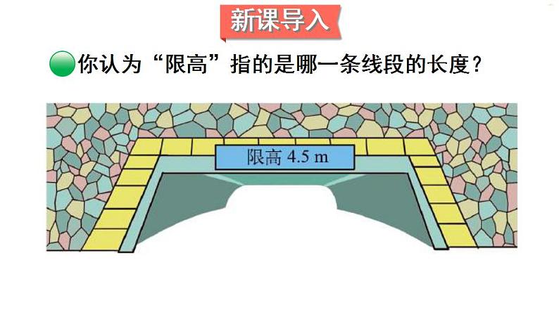北师大版 五年级上册数学 4.2 认识底和高 课件第4页