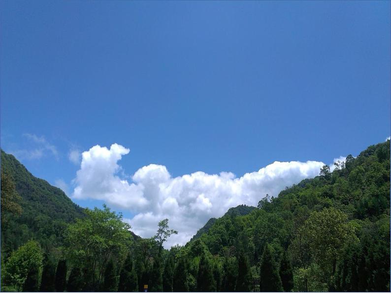 西师大版三年级数学上册 4.3 问题解决课件PPT第3页