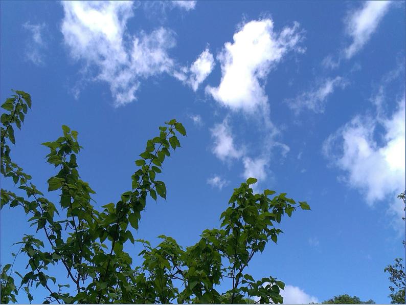 西师大版三年级数学上册 4.3 问题解决课件PPT第4页
