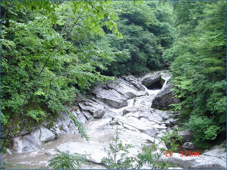 西师大版三年级数学上册 4.3 问题解决课件PPT第7页