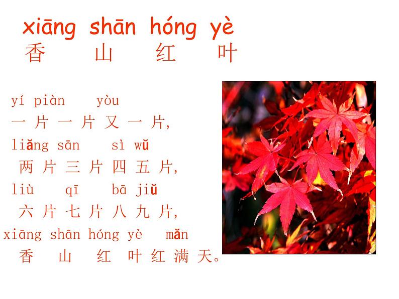 一年级上册数学课件-1.1 快乐的家园(5)-北师大版第3页