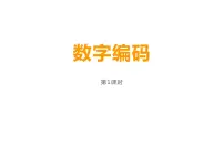 小学数学西师大版四年级上册数字编码教课课件ppt