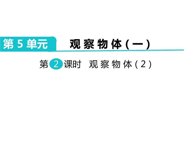 第2课时 观察物体(2)课件PPT01