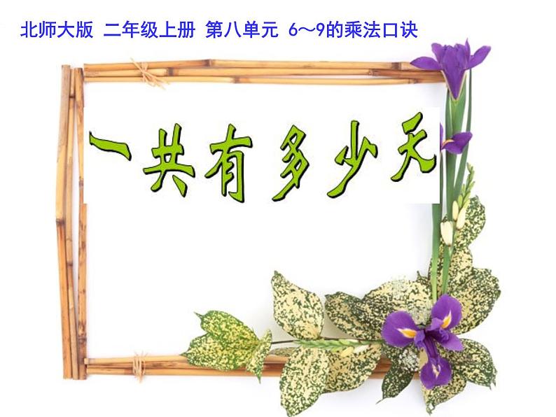 北师大版数学二年级上册 8.2 一共有多少天(4)(课件)第1页