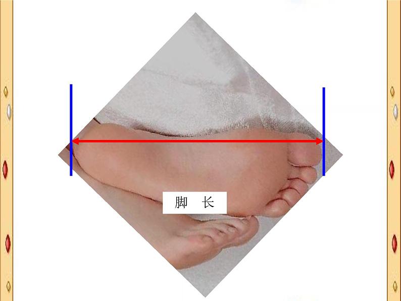北师大版数学二年级上册 数学好玩 寻找身体上的数学“秘密”_(课件)第4页