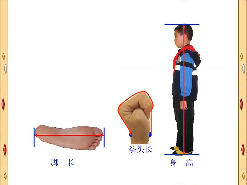 北师大版数学二年级上册 数学好玩 寻找身体上的数学“秘密”_(课件)第6页