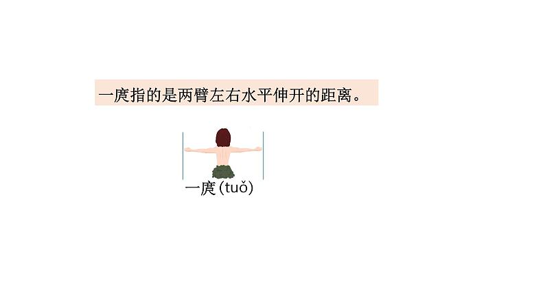 2021-2022学年度北师版二年级数学上册课件 第2课时 寻找身体上的数学“秘密”第8页