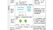 冀教版二年级上册五 表内除法（一）综合与测试习题