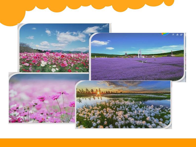 北师大版 数学四年级上册 6.2 参观花圃(3)(课件)第4页