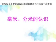 第3单元：甜甜的梦1《毫米、分米的认识（信息窗1）》参考课件1