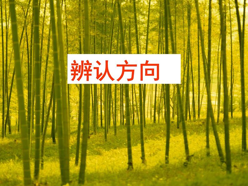 西师大版三年级数学上册 三 辨认方向_2(课件)01