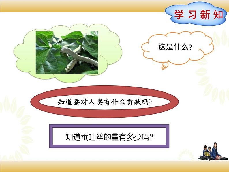 北师大版数学四下3.5 蚕 丝ppt课件+教案+同步练习03