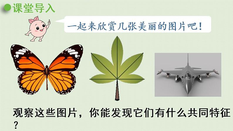 人教版四年级数学下册 7-1 轴对称图形的性质与画法 课件第4页